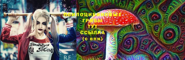 spice Гусев