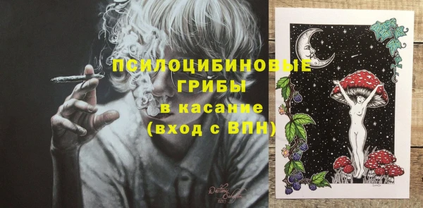 стафф Горнозаводск