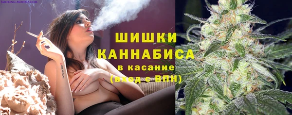 гидропоника Горняк